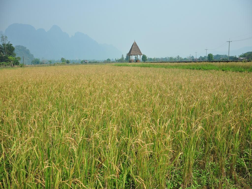 ואנג ויינג Viengtara Vangvieng Resort מראה חיצוני תמונה