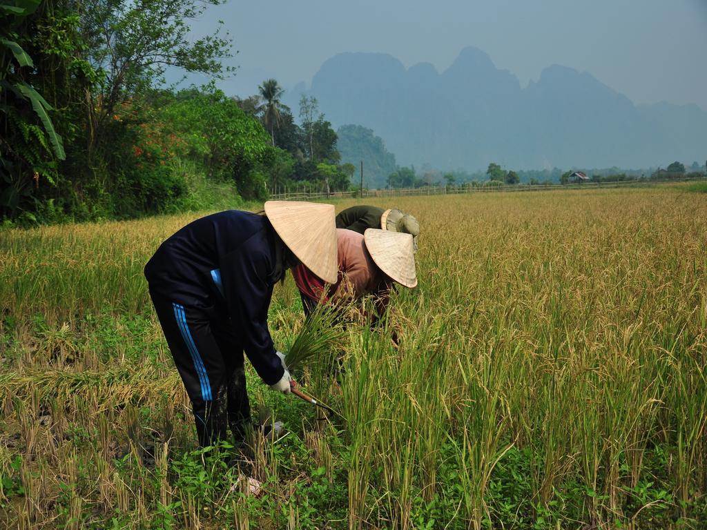 ואנג ויינג Viengtara Vangvieng Resort מראה חיצוני תמונה