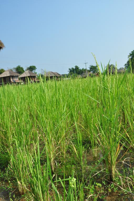 ואנג ויינג Viengtara Vangvieng Resort מראה חיצוני תמונה